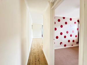 SPRING CHASE- click for photo gallery